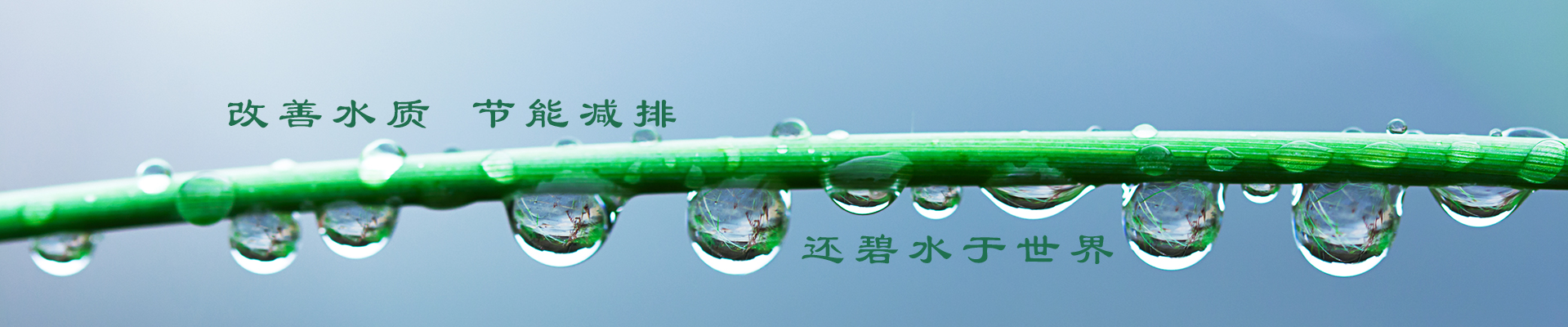 新聞動(dòng)態(tài)